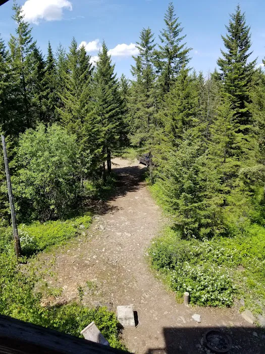 Deer Ridge Lookout Picture 4