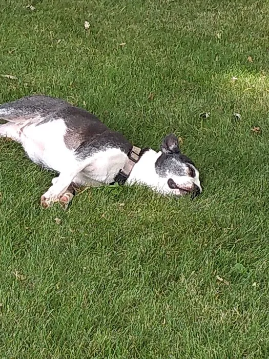 Pleasant Acres Mobile Community Picture 1