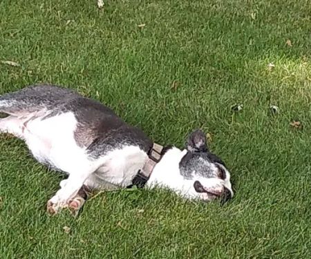 Pleasant Acres Mobile Community