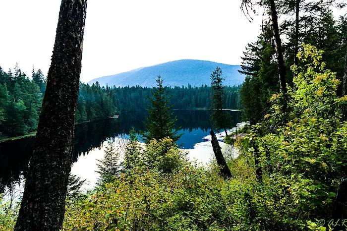 Robinson Lake Campground Picture 9