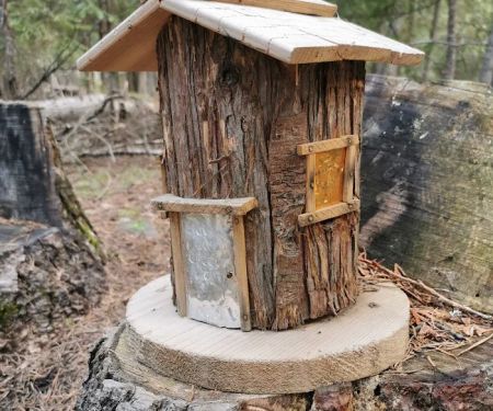 Robinson Lake Campground