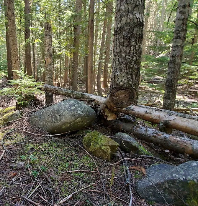 Robinson Lake Campground Picture 10
