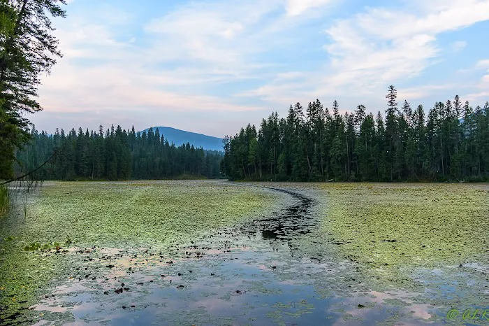 Robinson Lake Campground Picture 7