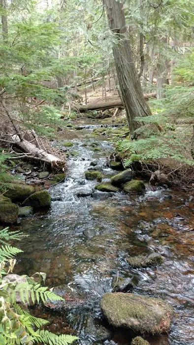 Robinson Lake Campground Picture 2