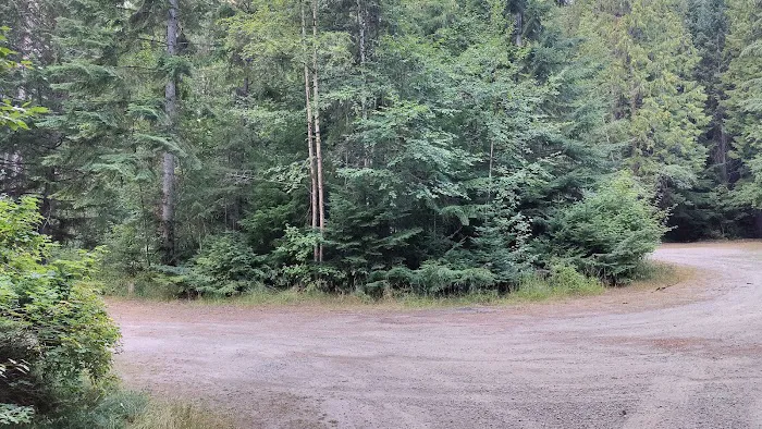 Robinson Lake Campground Picture 8