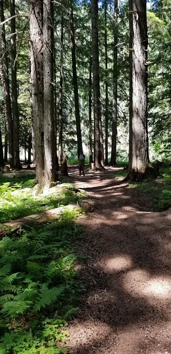 Sissons Campground Picture 3