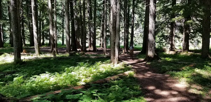 Sissons Campground Picture 2