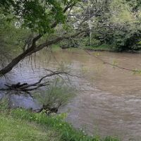 Shroyer's Mobile Homes ico