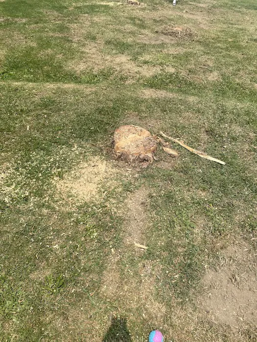 Homestead Mobile Home Park Picture 8