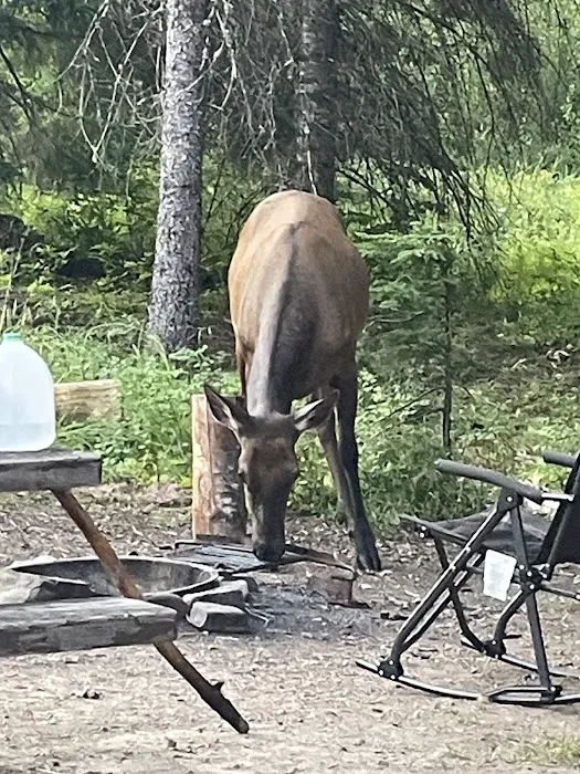 BIG HANK Picture 3