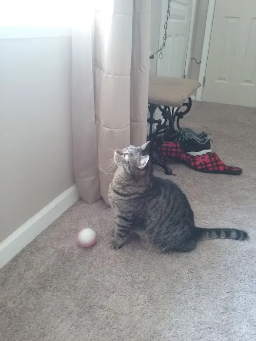 Williams Mobile Home Park Picture 1