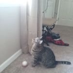 Williams Mobile Home Park