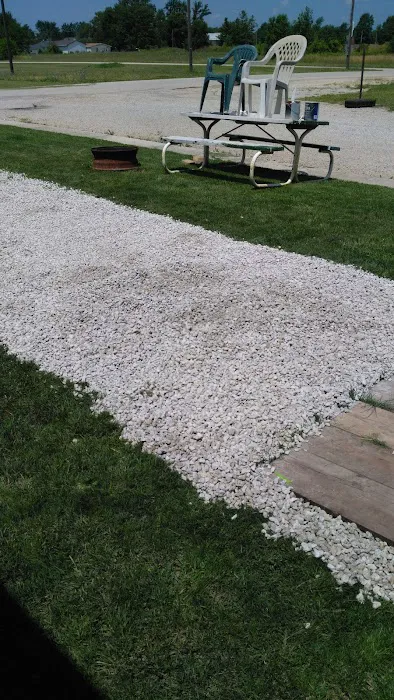 Evergreen Poplar Picture 10