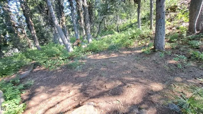 Spion Kop Campsite Picture 3