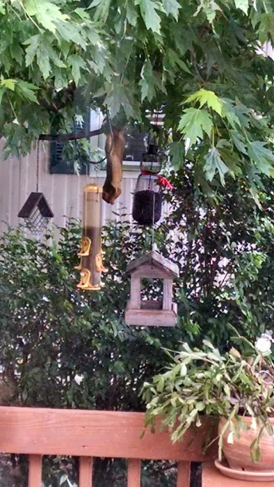 Troy Villa Community Picture 10