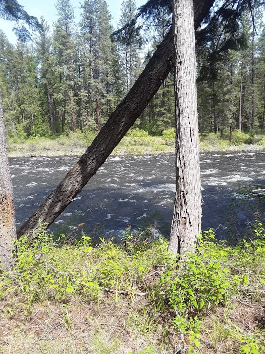 Yaak River Campground Picture 10