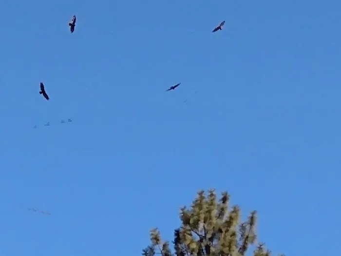 Two Rivers RV Park & Campground Picture 2