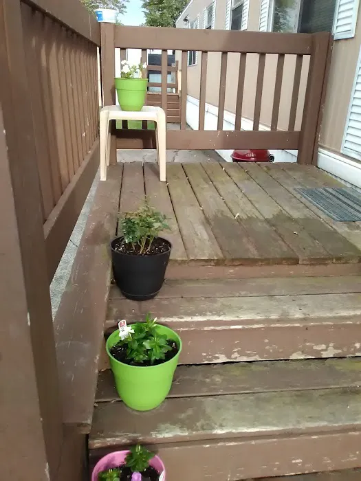 Village Green Picture 6