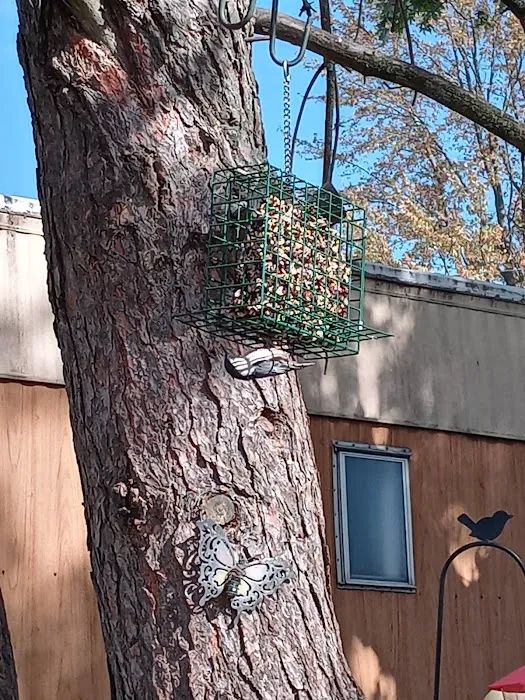 Village Green Picture 3