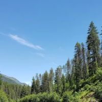 Bull River Campground, Kootenai National Forest ico