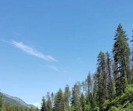 Bull River Campground, Kootenai National Forest