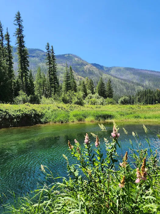 Bull River Campground, Kootenai National Forest Picture 5