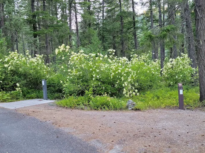 Bull River Campground, Kootenai National Forest Picture 8