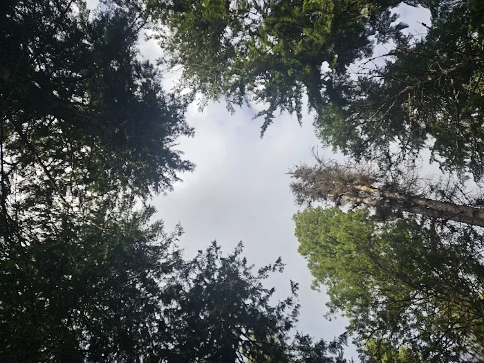 Hereford Restaurant Campground Picture 1