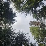 Hereford Restaurant Campground