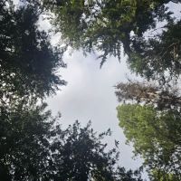 Hereford Restaurant Campground ico