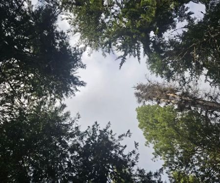 Hereford Restaurant Campground