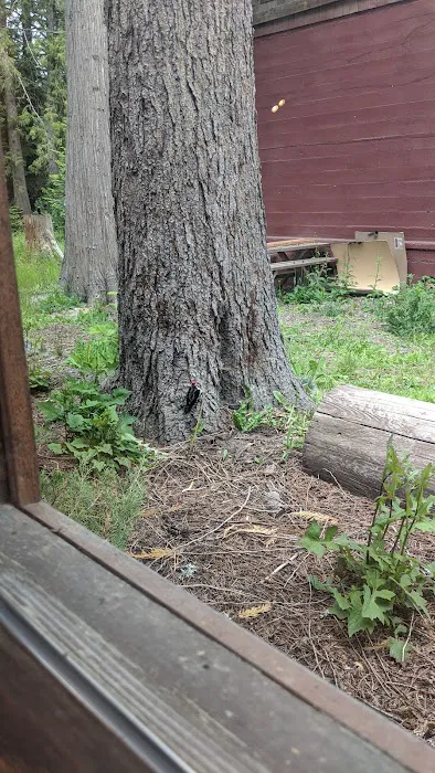 Hereford Restaurant Campground Picture 6