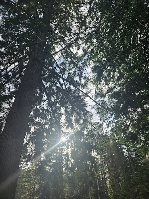 Hereford Restaurant Campground Picture 7