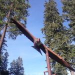 Firemans Park Campground