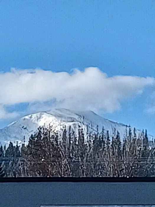 Firemans Park Campground Picture 2