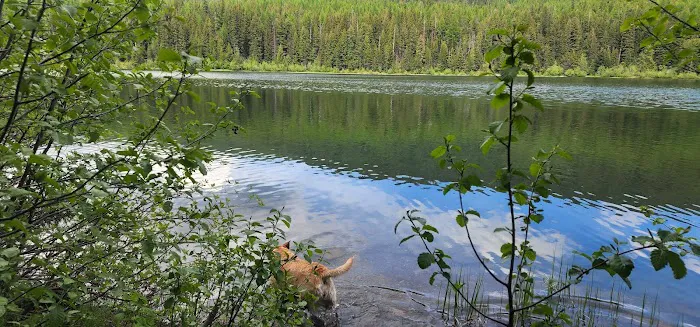 Howard Lake Campground Picture 7