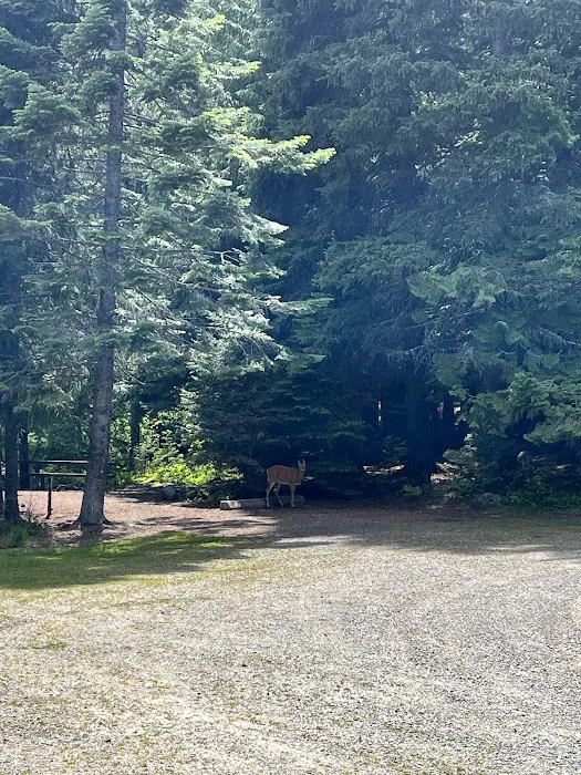 Howard Lake Campground Picture 6