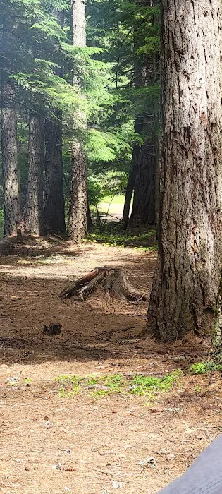 Marten Creek Campground Picture 2