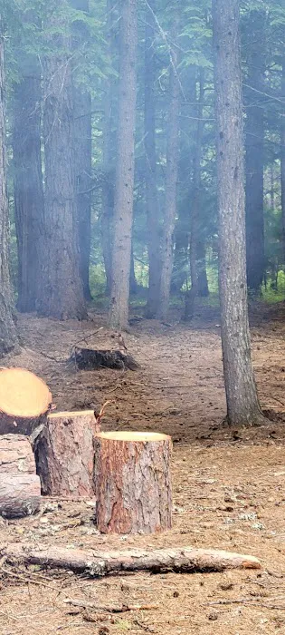 Marten Creek Campground Picture 4