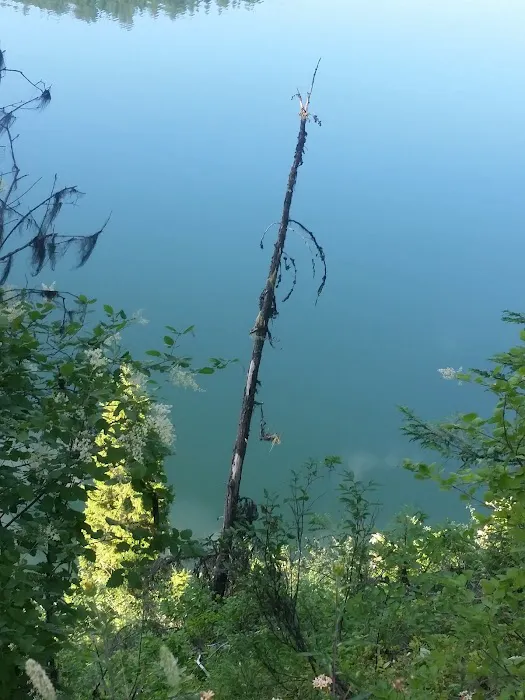 Marten Creek Campground Picture 10