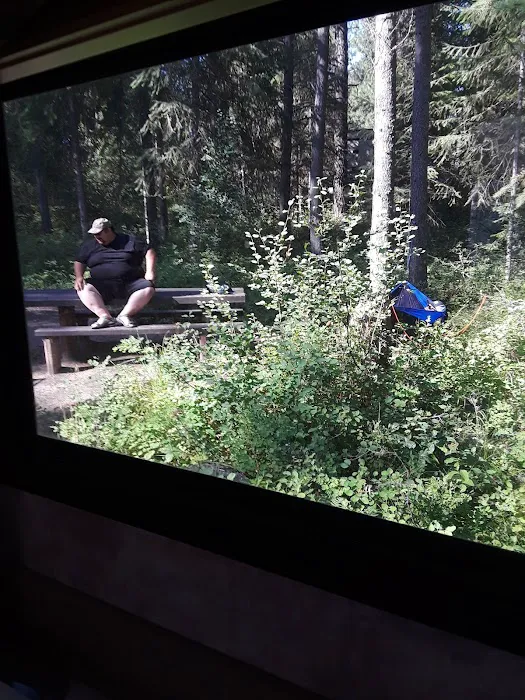 Trout Creek Campground Picture 2