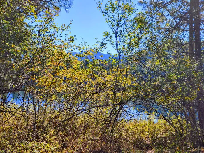 Trout Creek Campground Picture 10