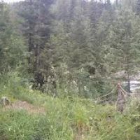 Squaw Creek Campground ico
