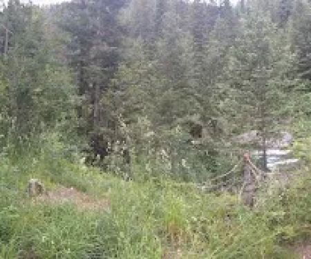 Squaw Creek Campground