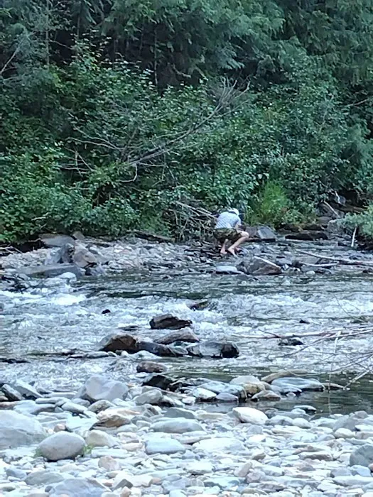 Telichpah Campground Picture 3