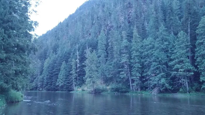 Packsaddle Campground Picture 2