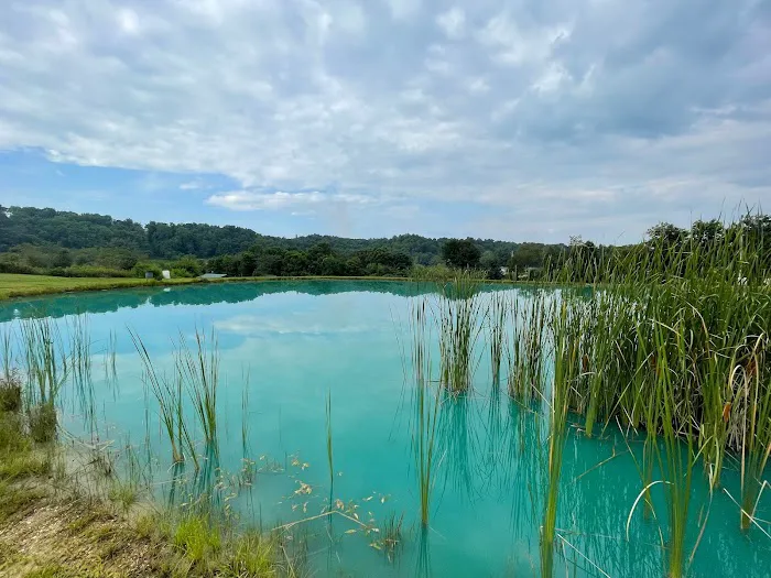 Dixon Hills Picture 4