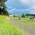 BIG BEAR RV CAMPGROUND