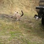 Little Boulder Campground