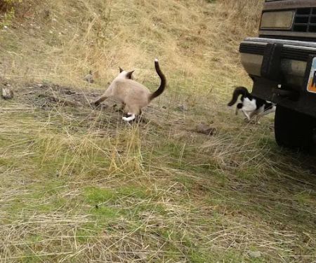 Little Boulder Campground